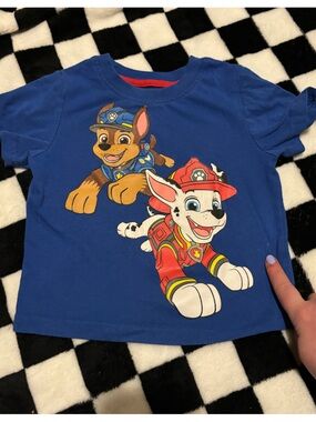 2T boys paw patrol - small stain pointing at in picture